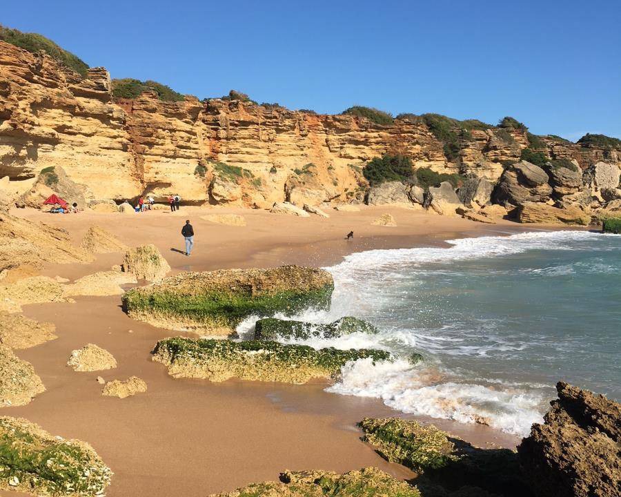 Photo of Others in Cabo Roche