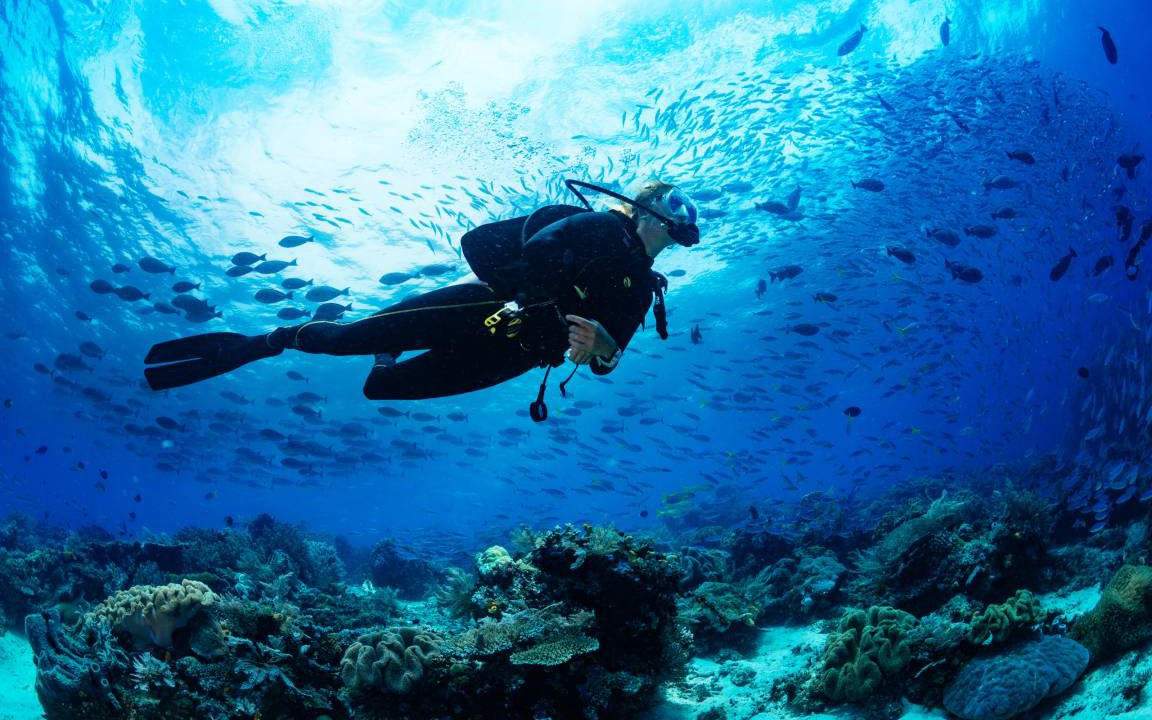 Photo of Others in Cala Figuera