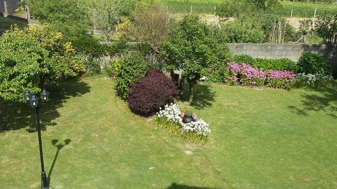 Photo of Others in Nigran
