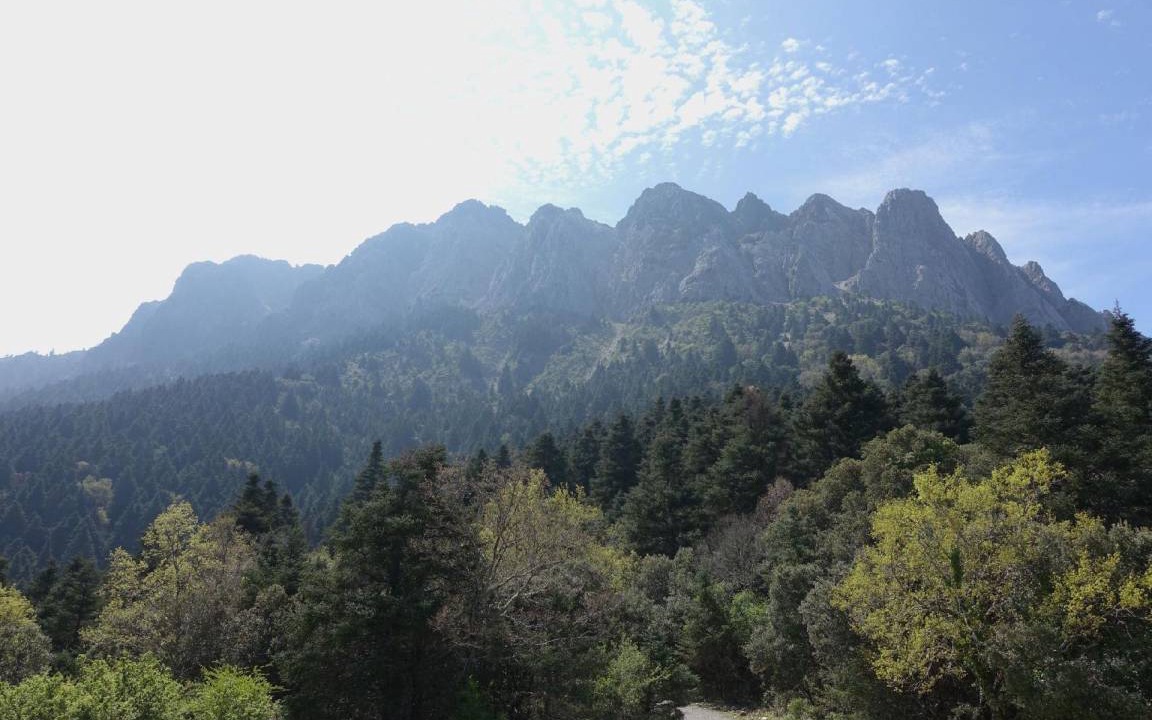 Photo of Others in Grazalema
