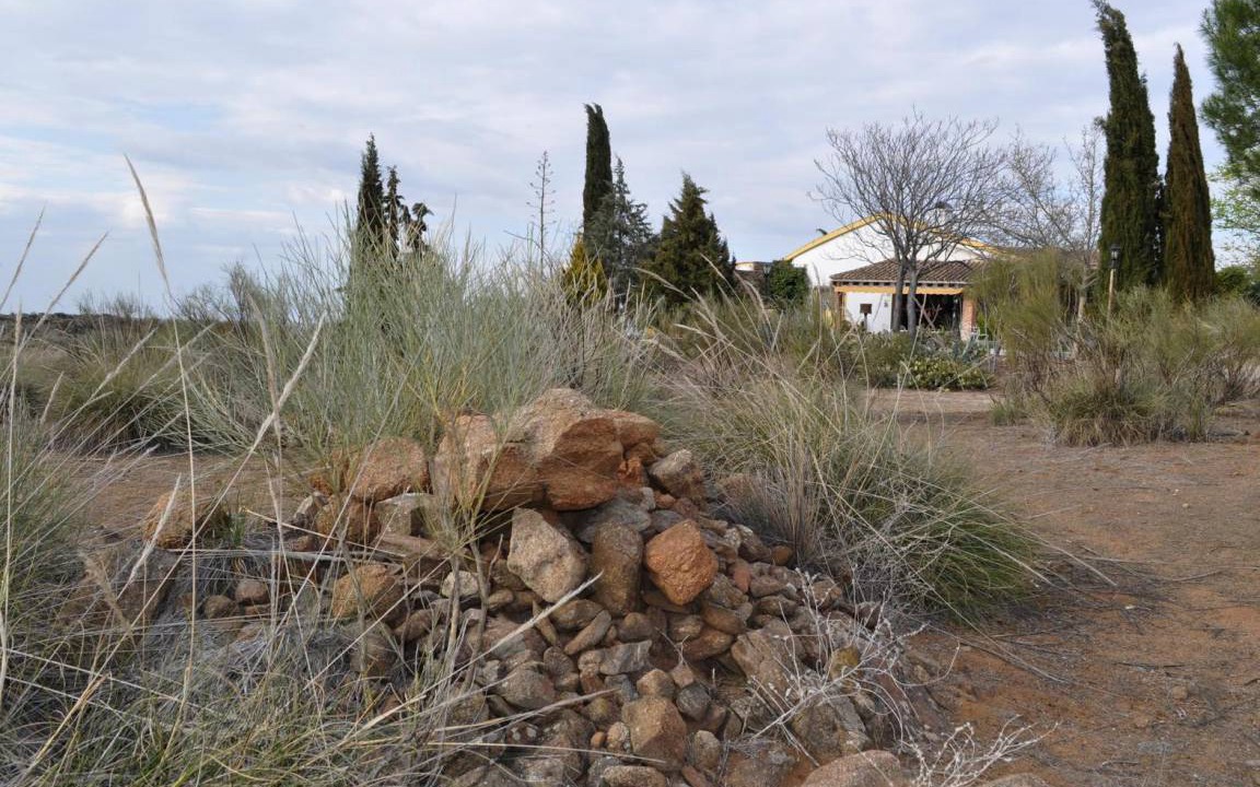 Photo of Others in Mora