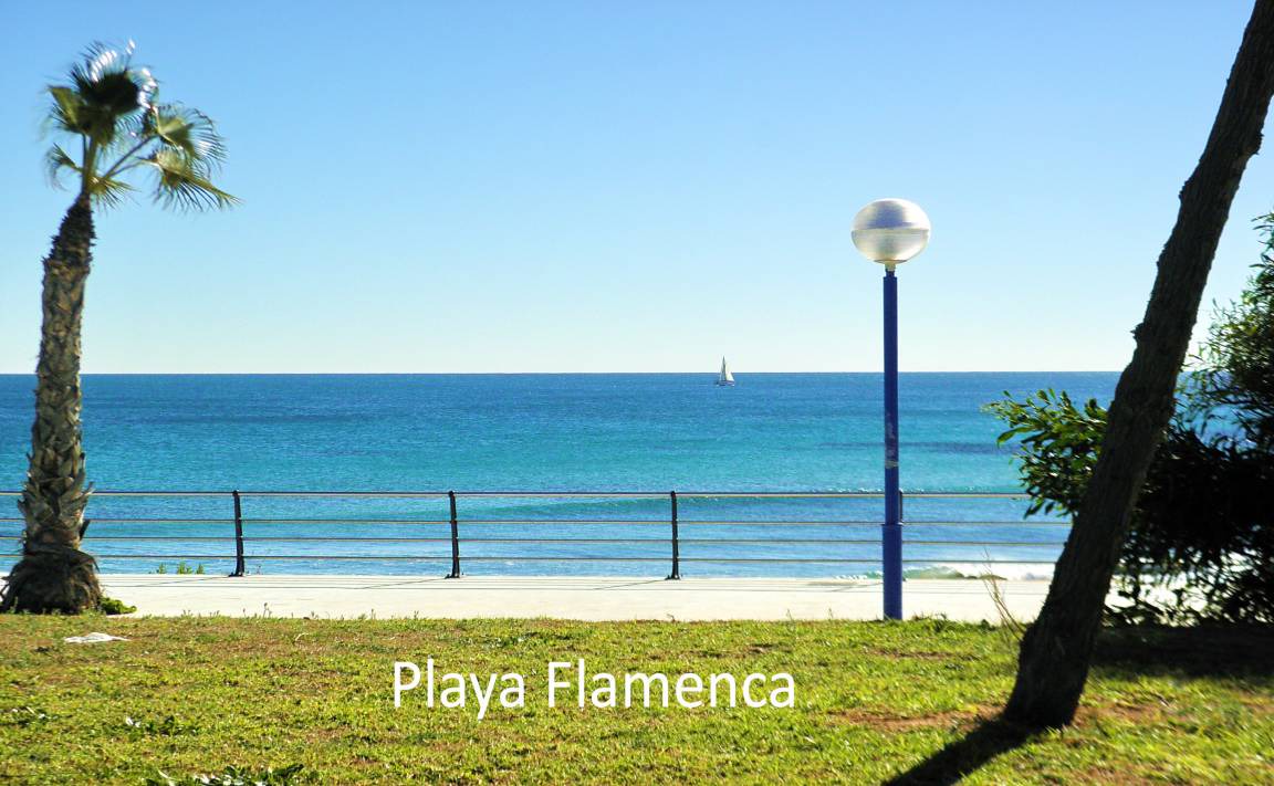 Photo of Others in Orihuela Costa