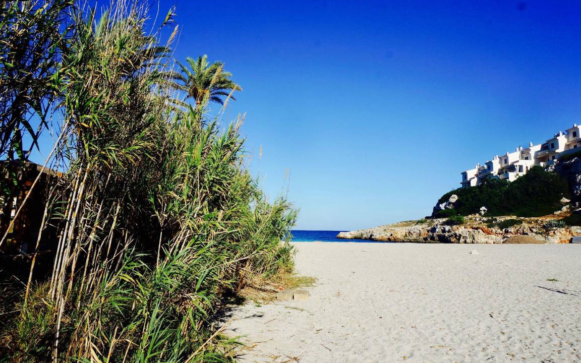 Photo of Others in Cala Murada
