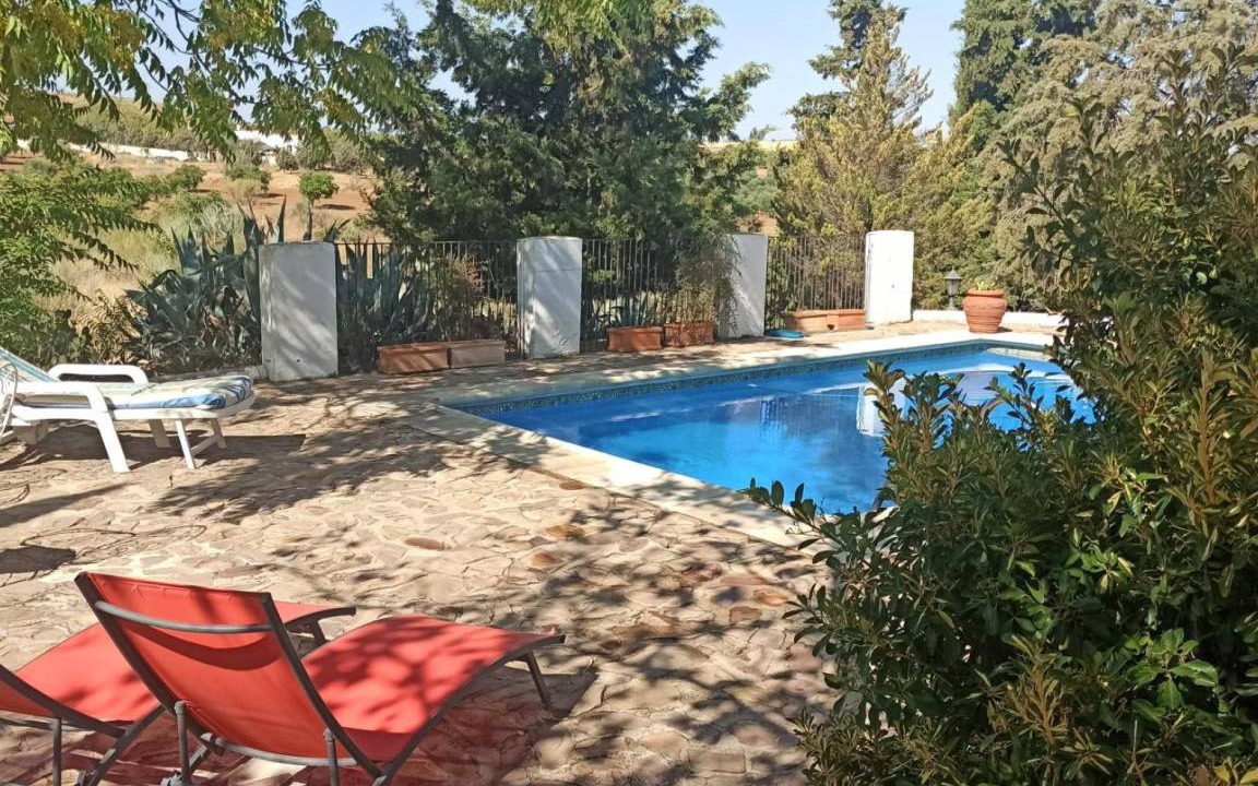 Photo of Others in Mora
