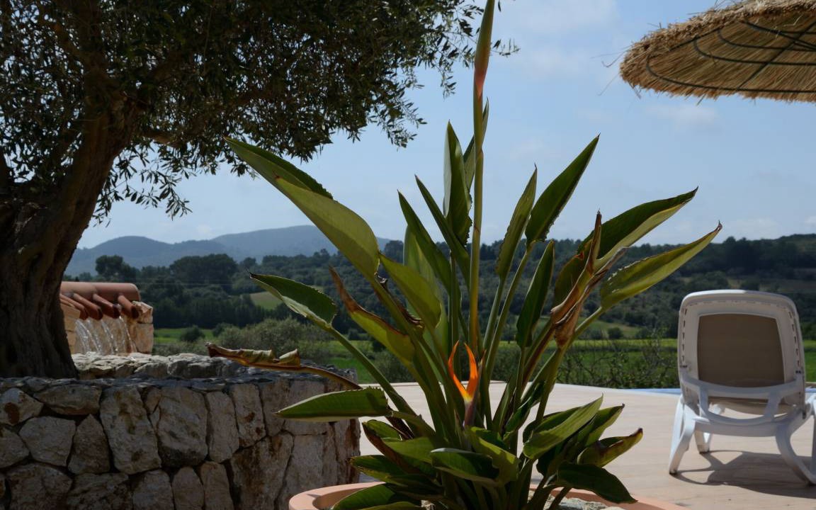 Photo of Others in Manacor