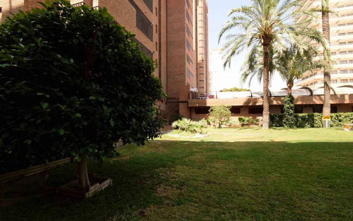 Photo of Others in Benidorm Centro