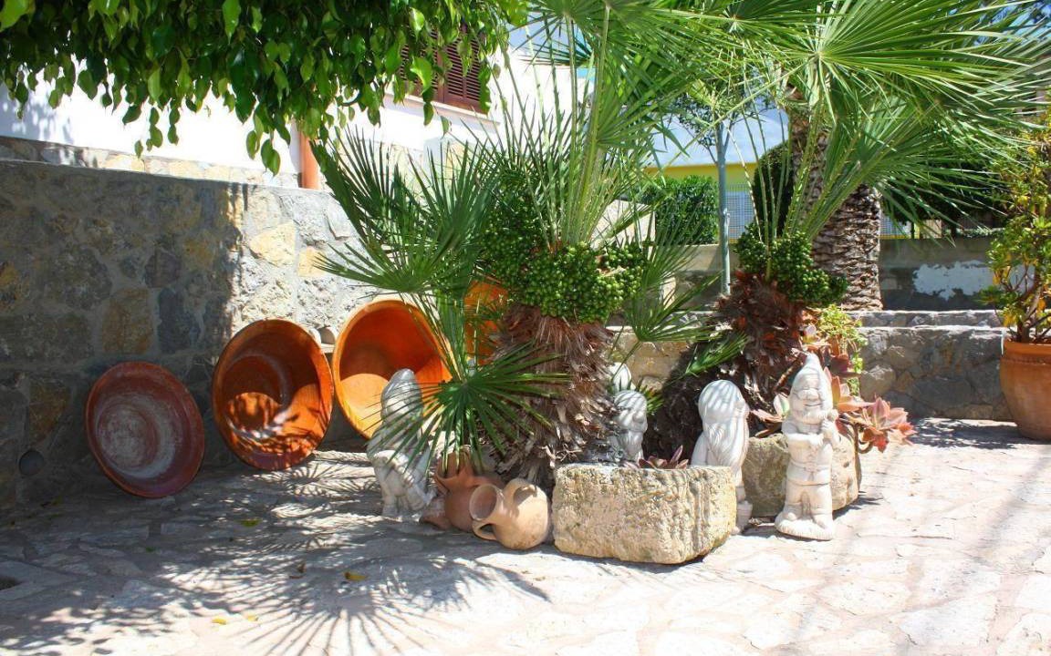 Photo of Others in Son Baulo