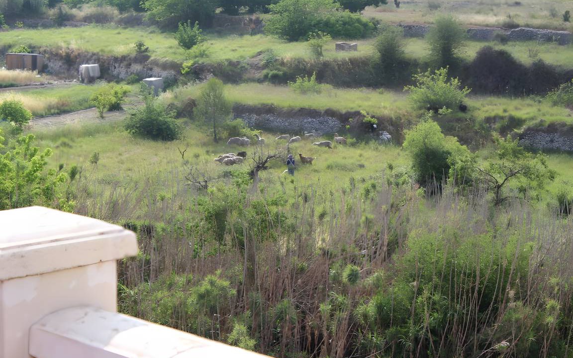 Photo of Others in La Vall d'Ebo