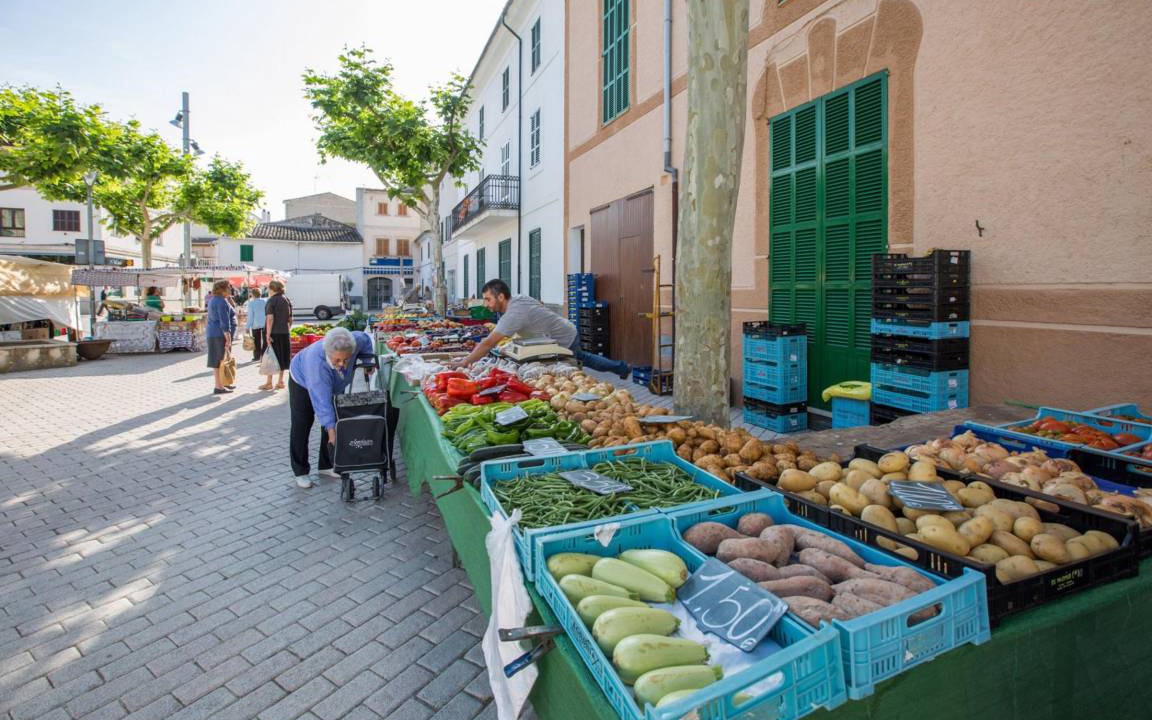 Photo of Others in Vilafranca de Bonany