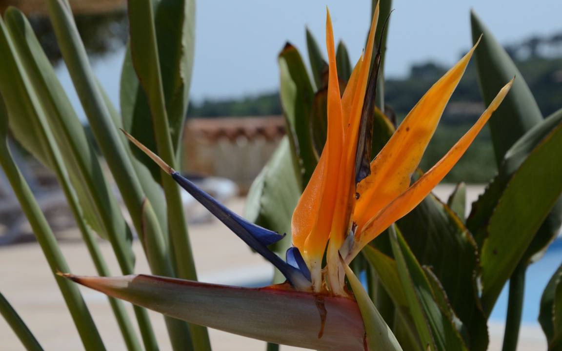 Photo of Others in Manacor