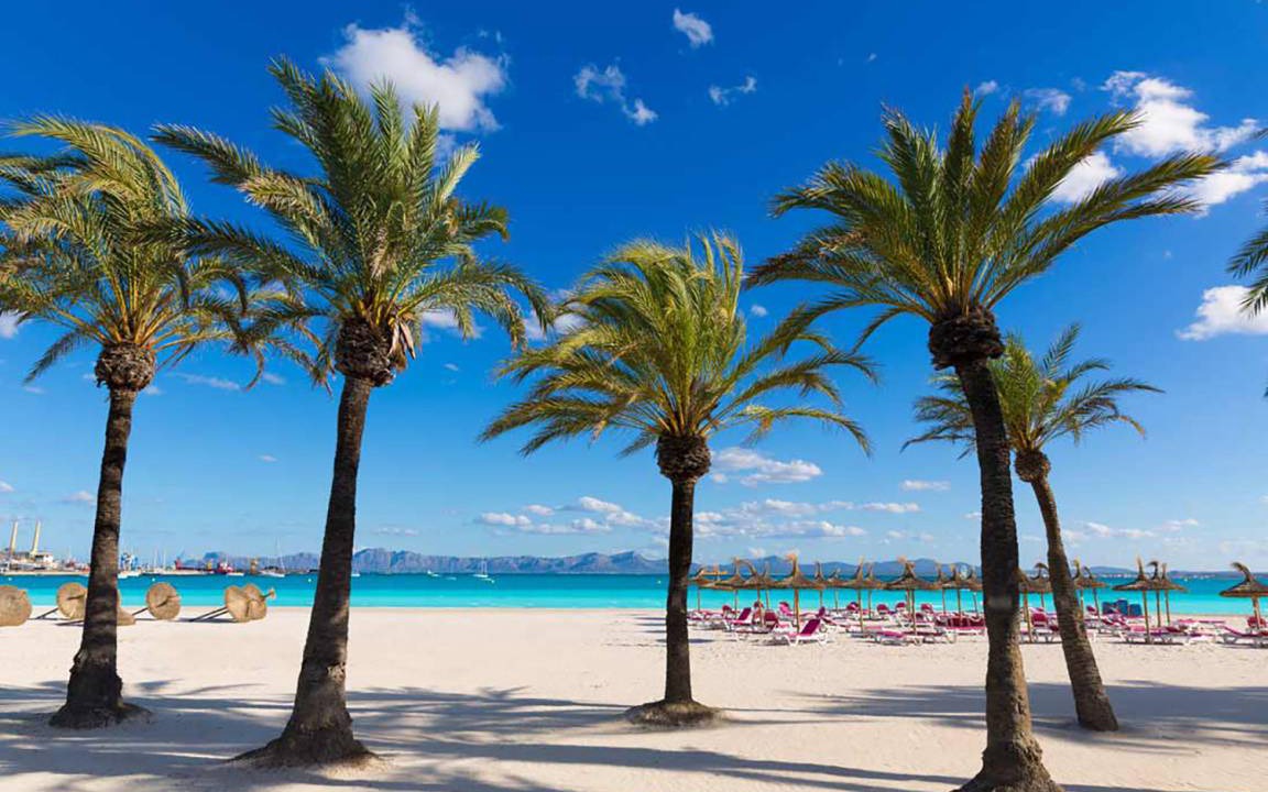 Photo of Others in Alcudia