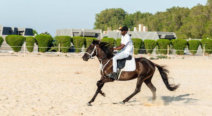 Photo of Others in Al Khobar
