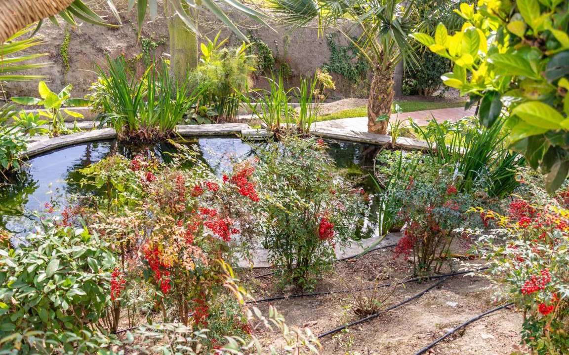 Photo of Others in Oasis del Capistrano