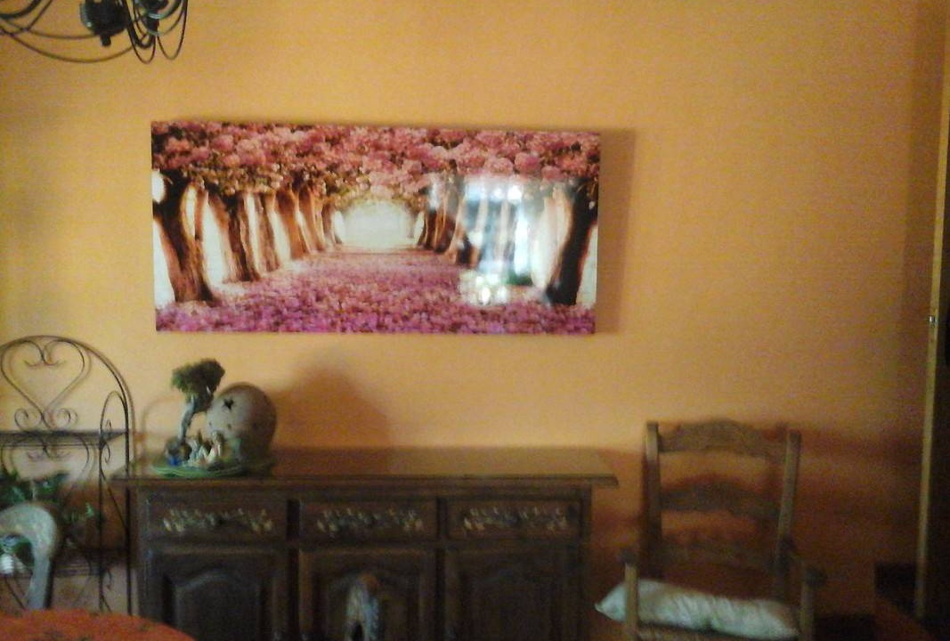 Photo of Others in Nuevo Baztan