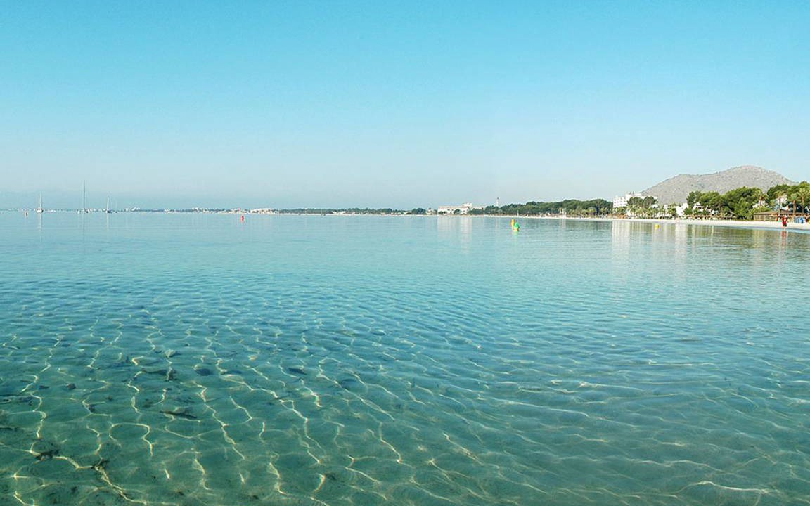 Photo of Others in Alcudia