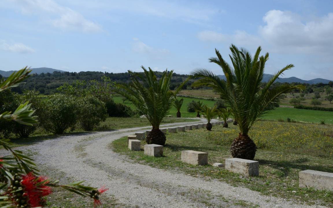 Photo of Others in Manacor