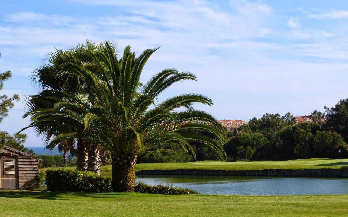 Photo of Others in Islantilla