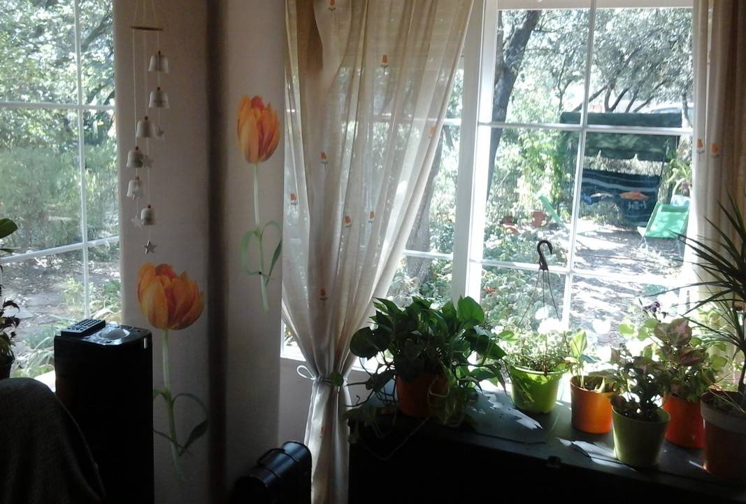 Photo of Livingroom in Nuevo Baztan