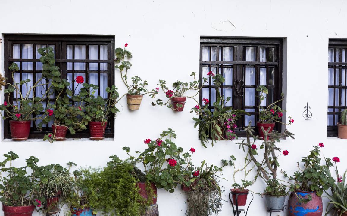 Photo of Buildings in Hondarribia Historic Center