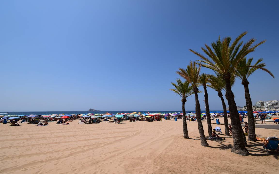 Photo of Others in Benidorm Centro