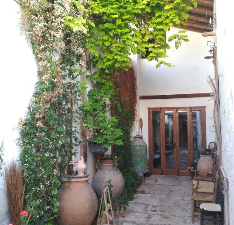 Photo of Others in Villarrubia de Santiago