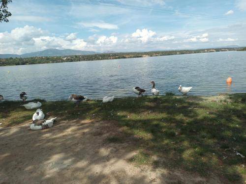 Photo of Others in Cardiel de los Montes