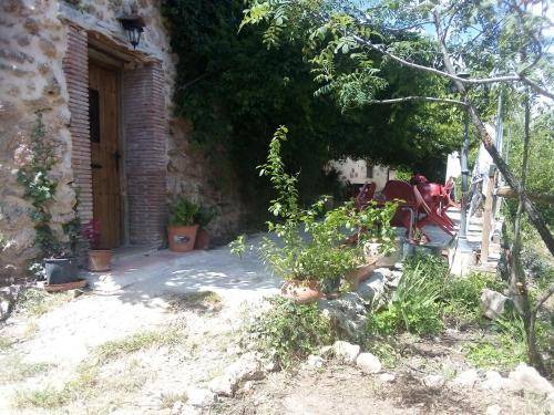 Photo of Others in Olba