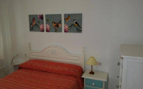 Photo of Others in Cabo de Gata