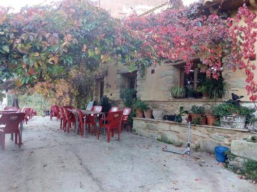 Photo of Others in Olba