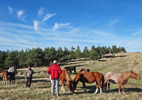 Photo of Others in Alameda del Valle