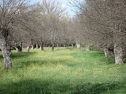 Photo of Others in Alameda del Valle