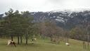 Photo of Outdoor in Alameda del Valle