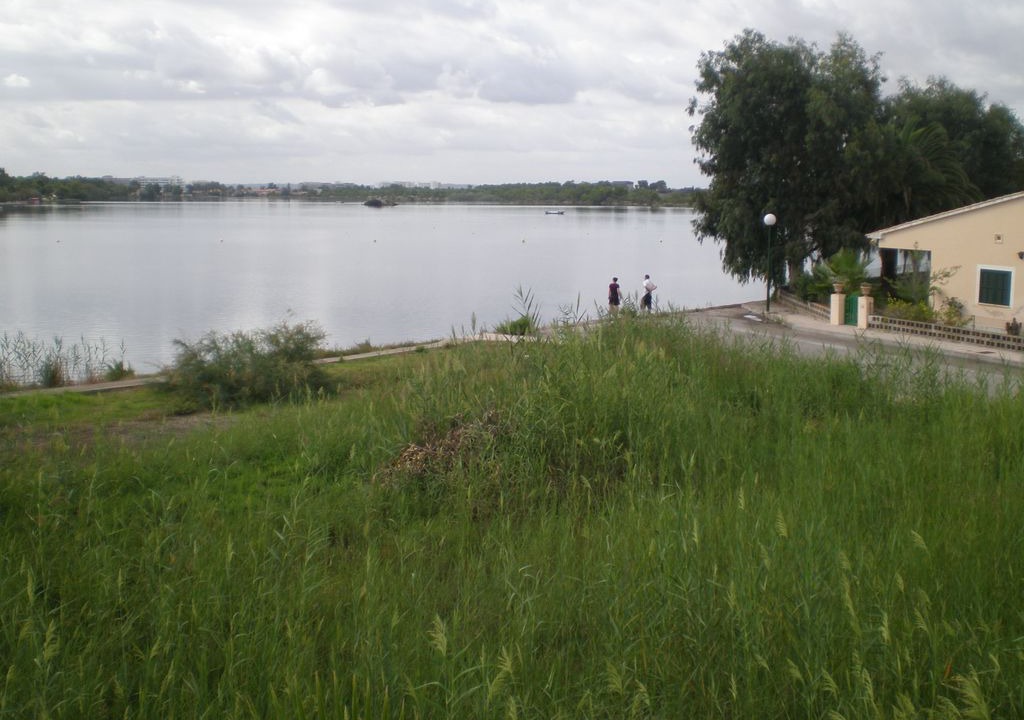 Photo of Others in Alcudia
