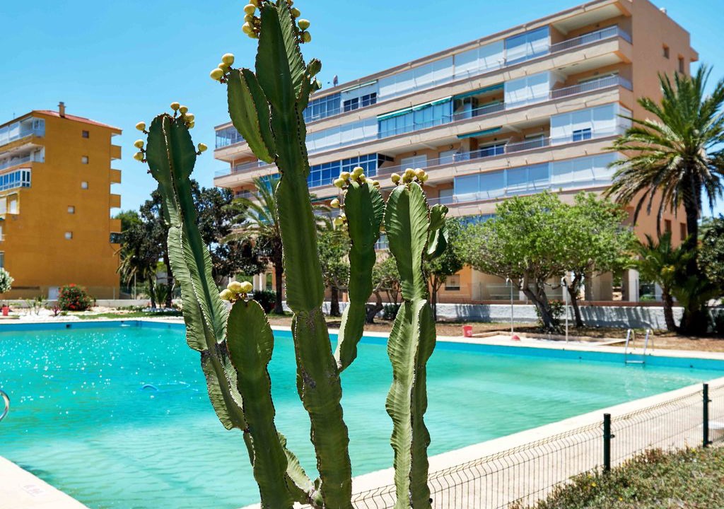 Photo of Outdoor in Lomas