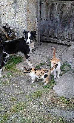 Photo of Others in Alameda del Valle