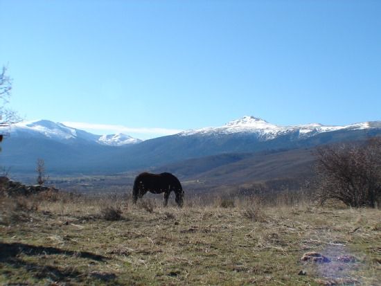 Photo of Outdoor in Alameda del Valle