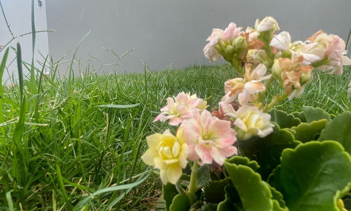 Photo of Outdoor in Al Hada