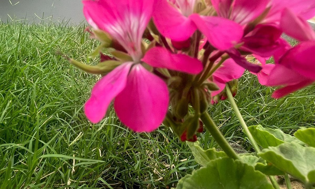 Photo of Outdoor in Al Hada