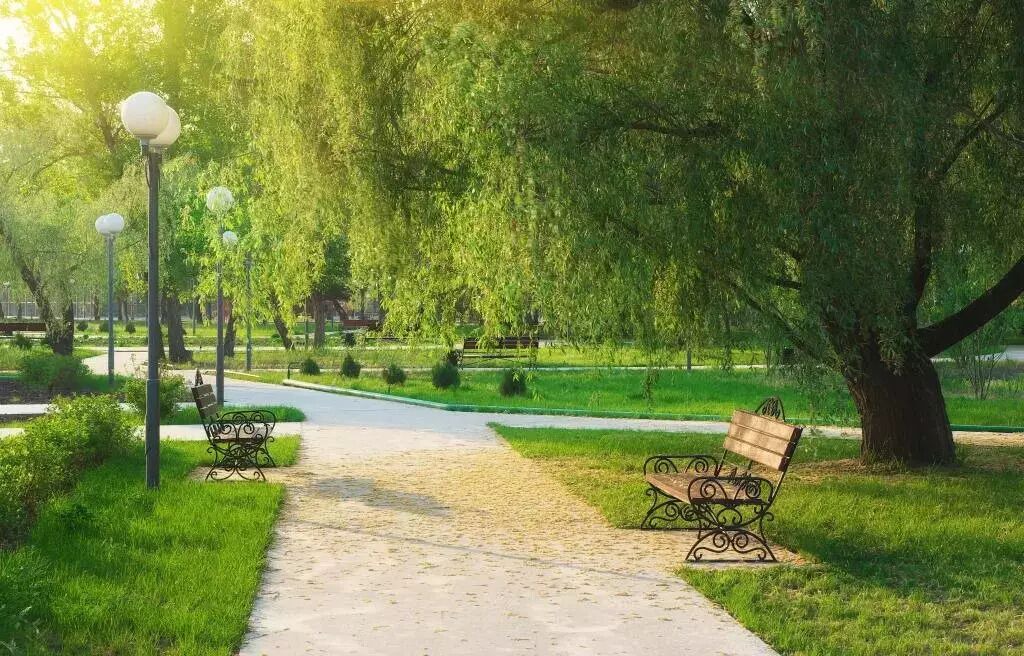 Photo of Outdoor in Abha