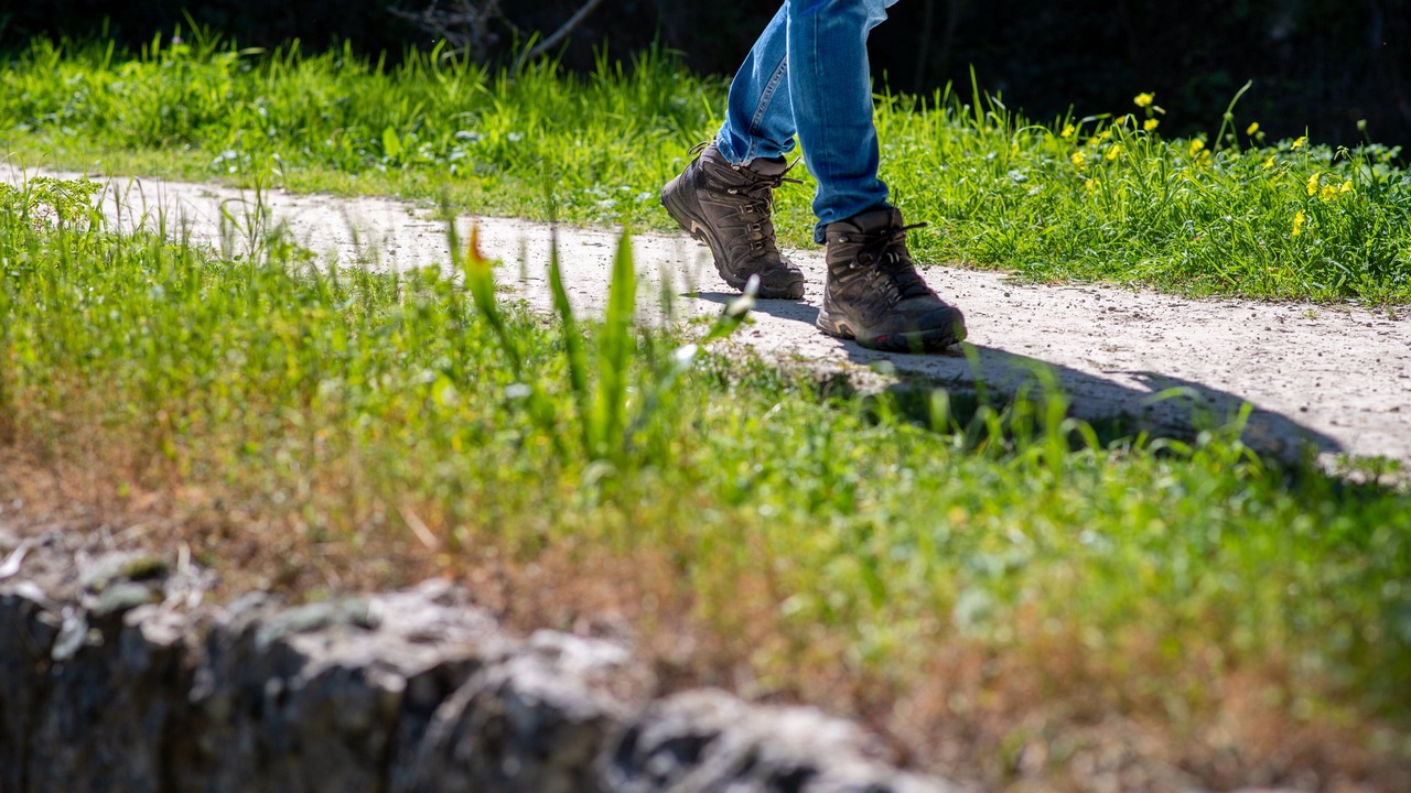Photo of Outdoor in Orba