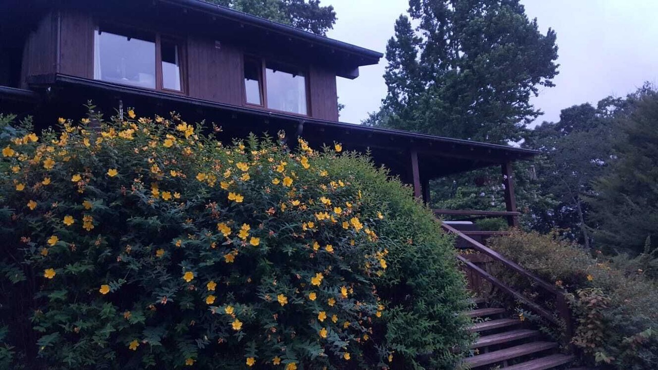 Photo of Outdoor in Luzmela