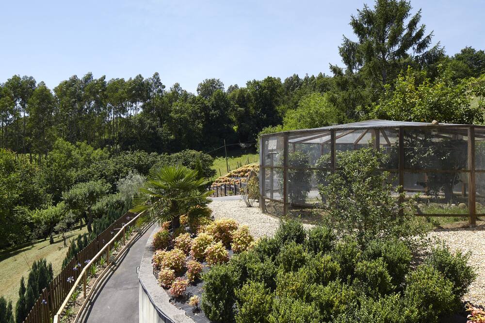 Photo of Outdoor in Arrieta