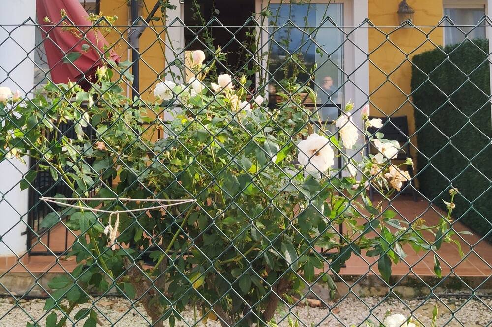 Photo of Outdoor in Casas de Torrat