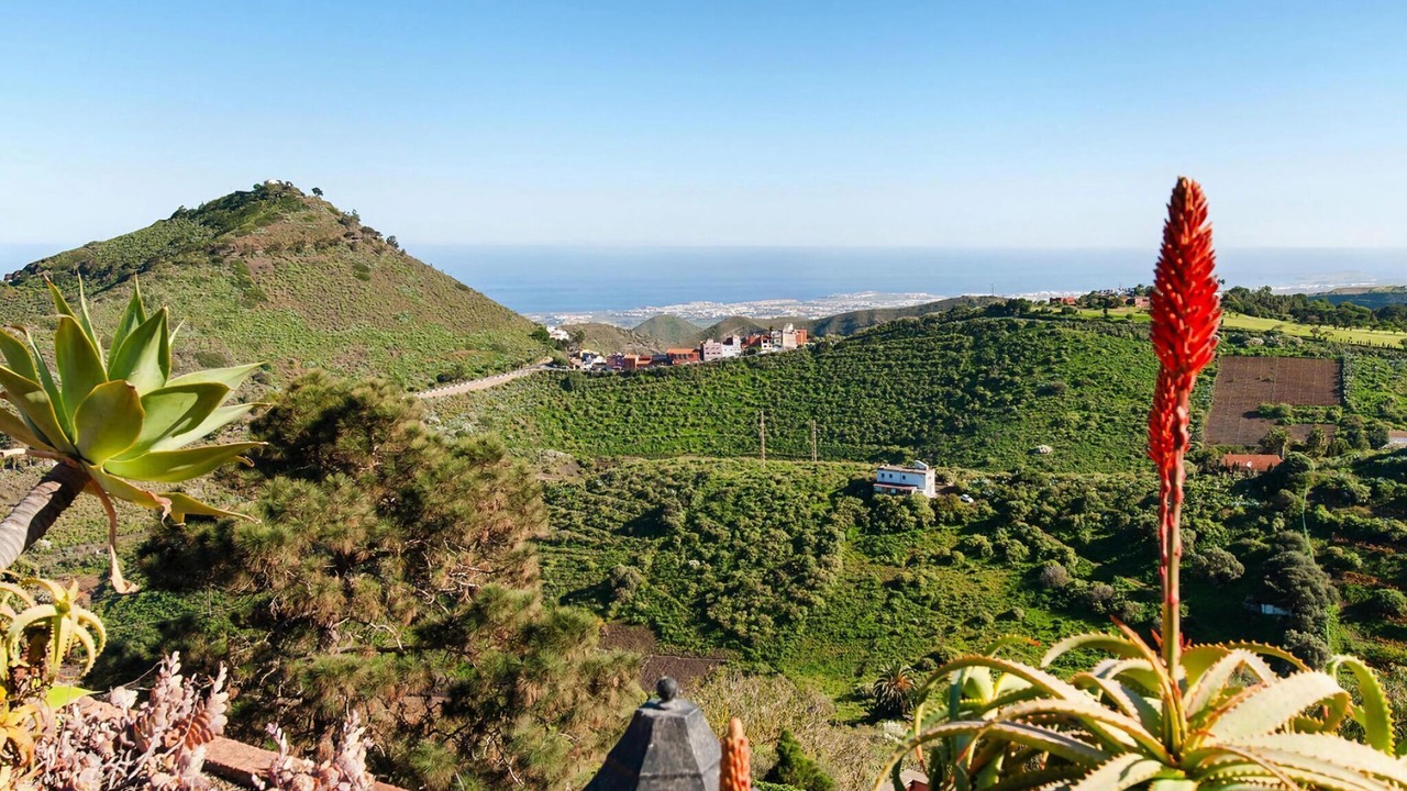 Photo of Outdoor in Santa Brigida