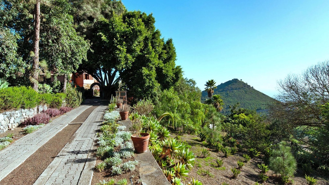 Photo of Outdoor in Santa Brigida