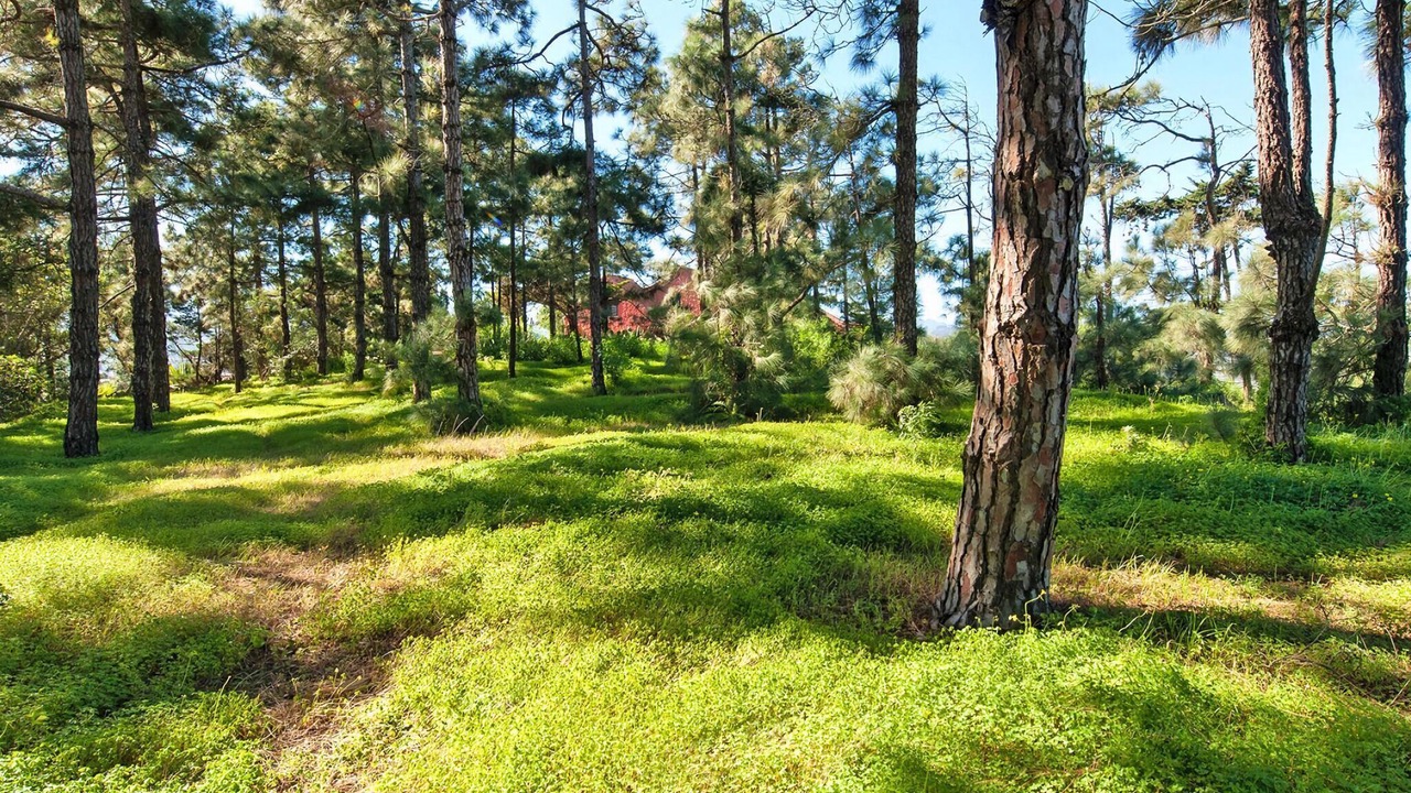 Photo of Outdoor in Santa Brigida