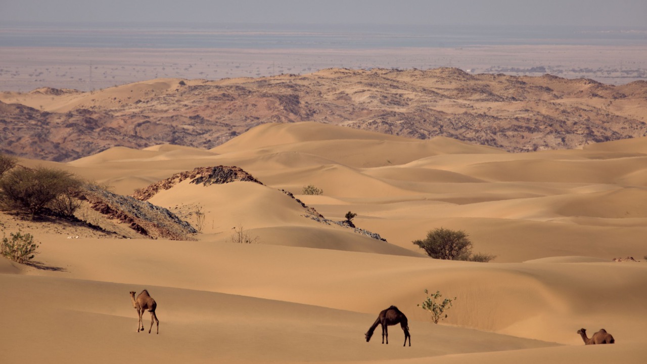 Photo of Outdoor in Tabuk