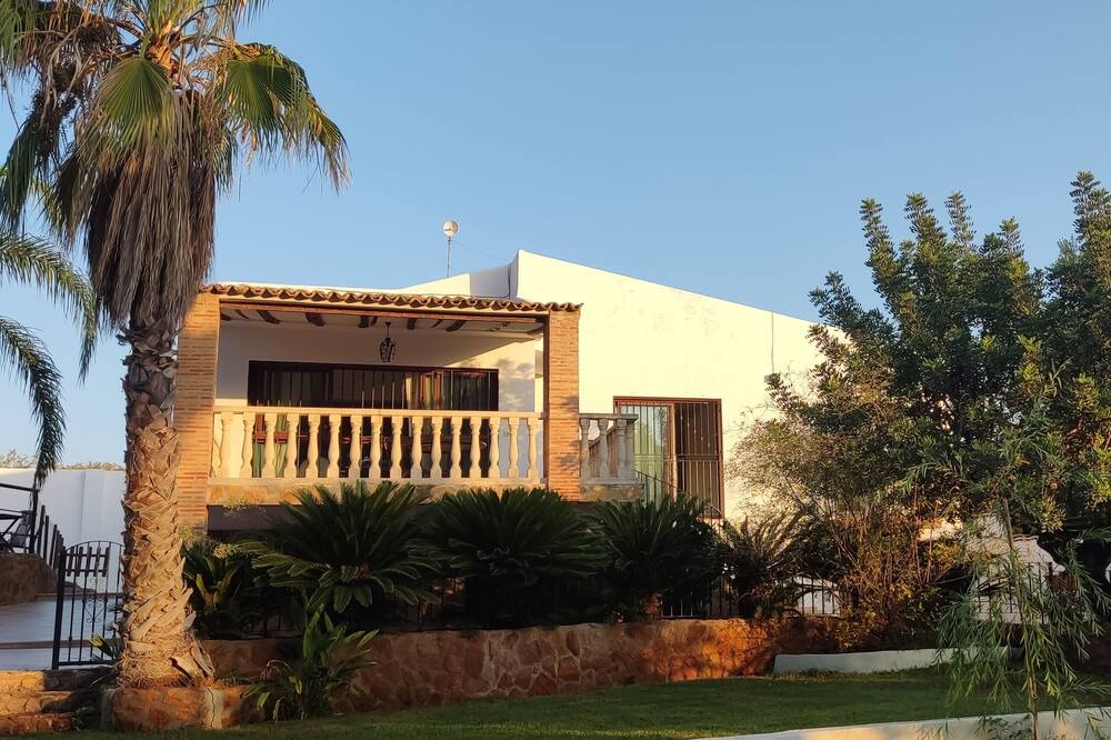 Photo of Outdoor in Albalat dels Tarongers