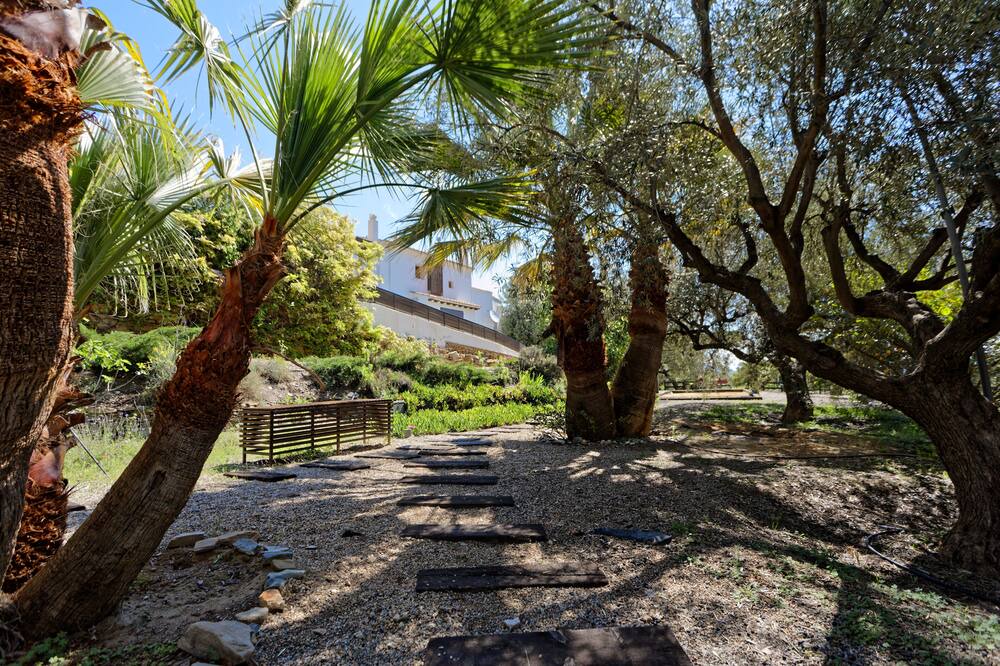 Photo of Outdoor in La Brena