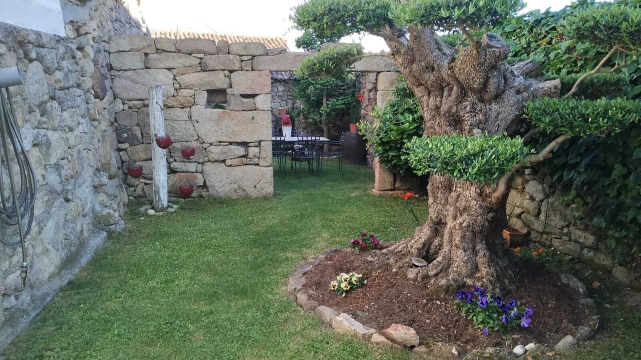 Photo of Outdoor in San Amaro
